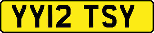 YY12TSY