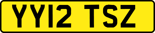YY12TSZ