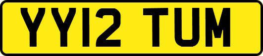 YY12TUM