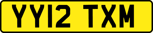 YY12TXM