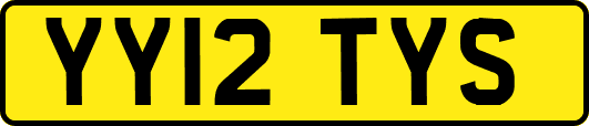 YY12TYS