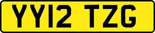 YY12TZG