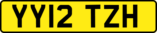 YY12TZH