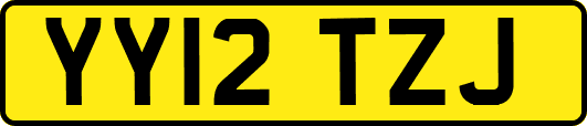 YY12TZJ
