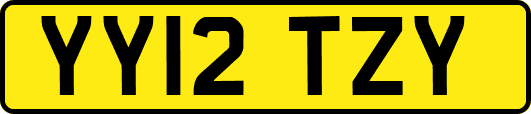 YY12TZY