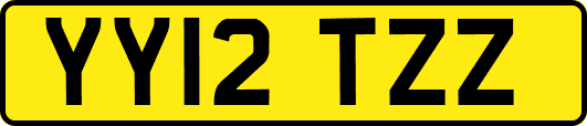 YY12TZZ