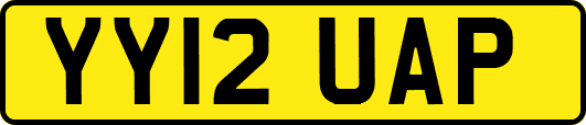 YY12UAP