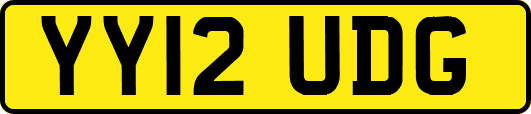 YY12UDG