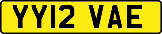 YY12VAE