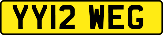 YY12WEG