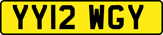 YY12WGY