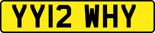 YY12WHY