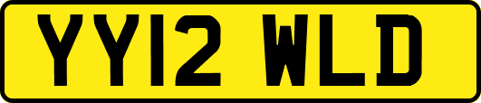 YY12WLD