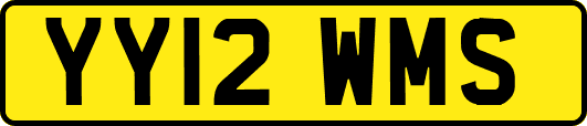 YY12WMS