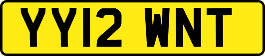 YY12WNT