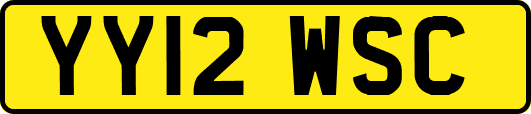 YY12WSC