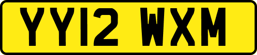 YY12WXM
