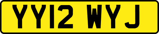 YY12WYJ