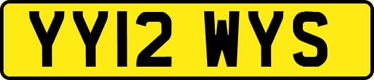 YY12WYS