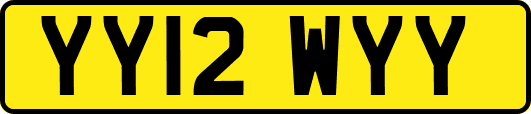 YY12WYY