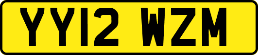 YY12WZM