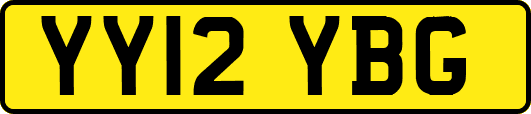 YY12YBG