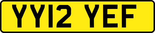 YY12YEF