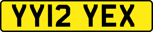 YY12YEX