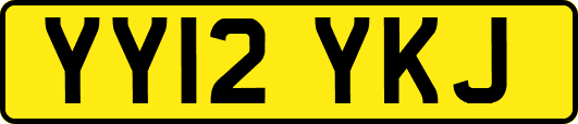YY12YKJ