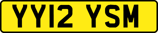 YY12YSM