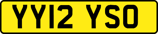 YY12YSO
