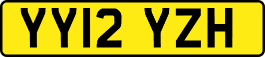 YY12YZH