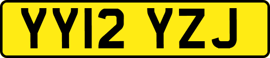 YY12YZJ
