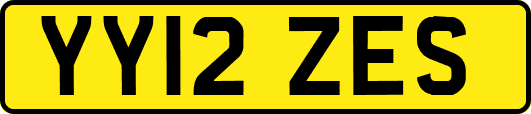 YY12ZES