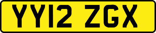 YY12ZGX