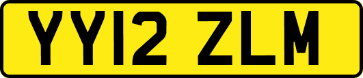 YY12ZLM