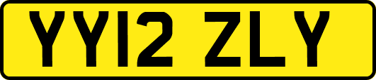 YY12ZLY