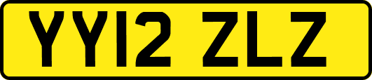 YY12ZLZ
