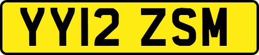 YY12ZSM