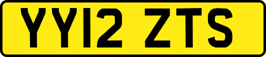 YY12ZTS