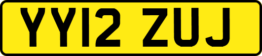 YY12ZUJ