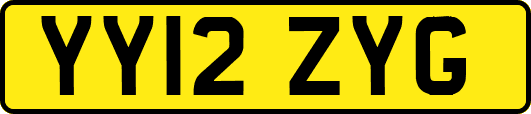 YY12ZYG