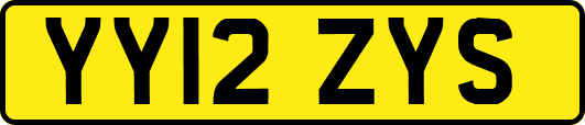YY12ZYS