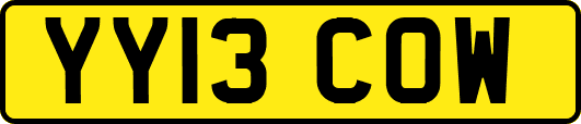 YY13COW