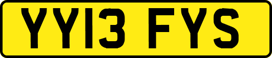 YY13FYS