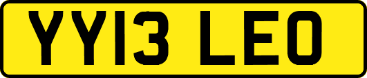 YY13LEO