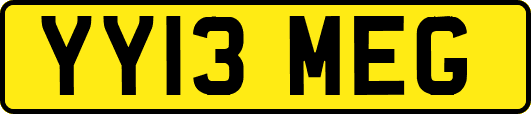 YY13MEG