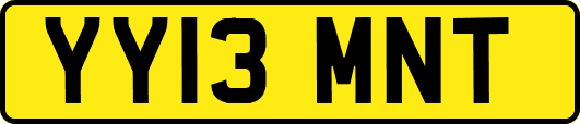 YY13MNT