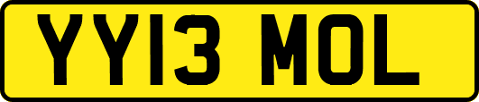 YY13MOL