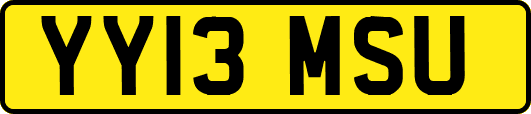 YY13MSU